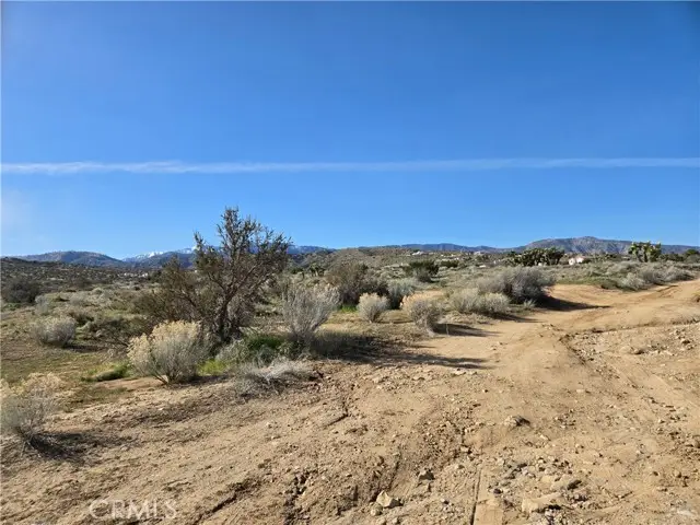0 Snow Line Drive, Phelan, CA 92371 - #3