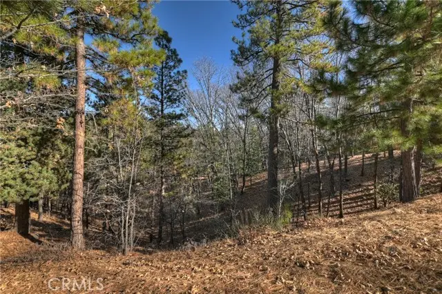 0 Lucerne Lane, Lake Arrowhead, CA 92352 - #3