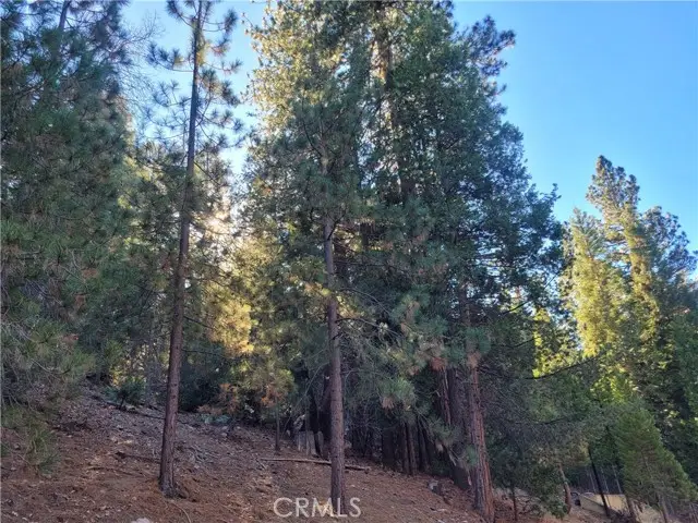 0 Brentwood Drive, Lake Arrowhead, CA 92352 - #1
