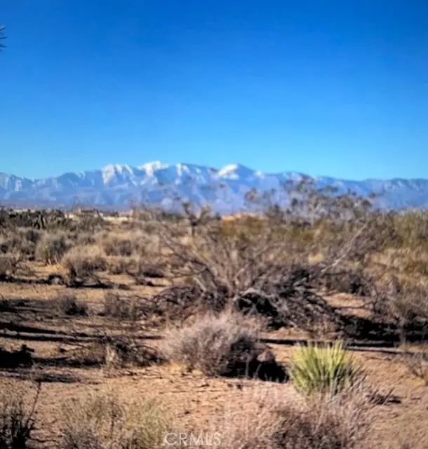 8888888 Smoketree, Hesperia, CA 92344 - #1