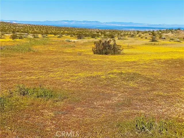 0 Avenue E-4 Unit #E4/183, Lancaster, CA 93535 - #2