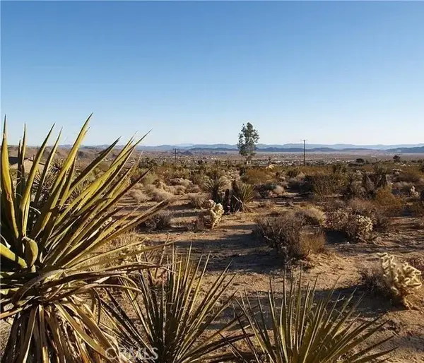 7275 Saddleback, Joshua Tree, CA 92252