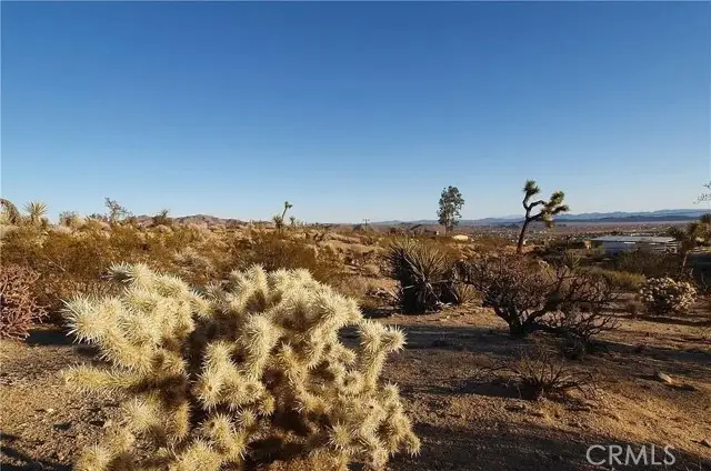 7275 Saddleback, Joshua Tree, CA 92252 - #3