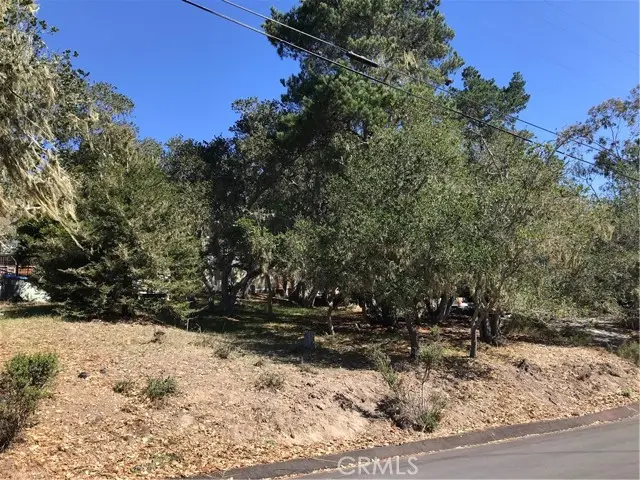 0 Saint James Road, Cambria, CA 93428 - #1