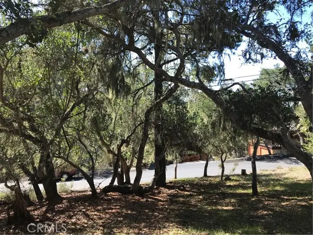 0 Saint James Road, Cambria, CA 93428 - #3