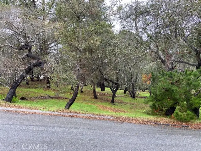 0 Kenneth, Cambria, CA 93428 - #3