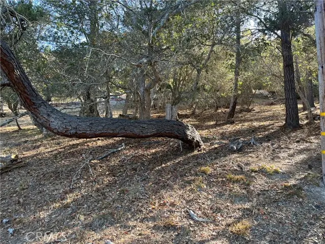 1818 Tweed Avenue, Cambria, CA 93428 - #1