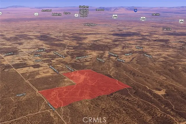 8005 Tumbleweed Road, Phelan, CA 92371 - #2