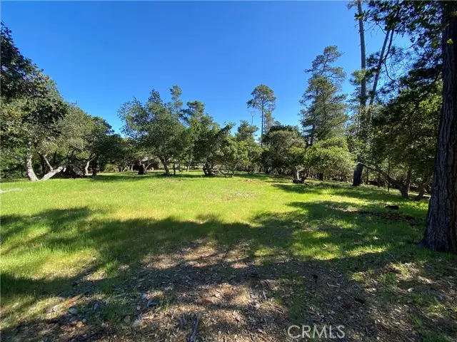 6450 Kathryn, Cambria, CA 93428 - #2