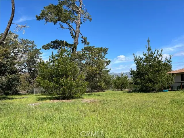 2540 Malvern Street, Cambria, CA 93428 - #3