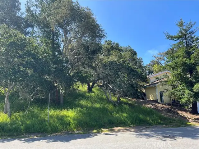 2480 Ross Road, Cambria, CA 93428 - #3