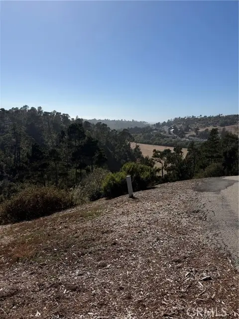3123 Rogers, Cambria, CA 93428 - #2