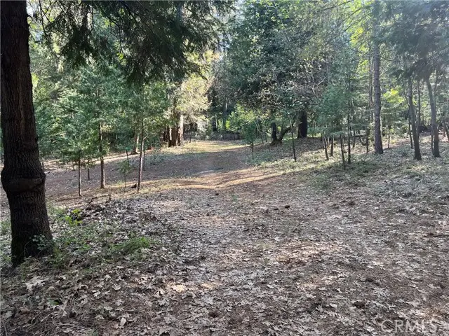 #3
