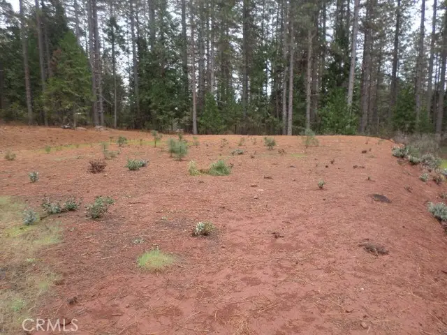 0 Mendocino Way, Cohasset, CA 95973 - #2