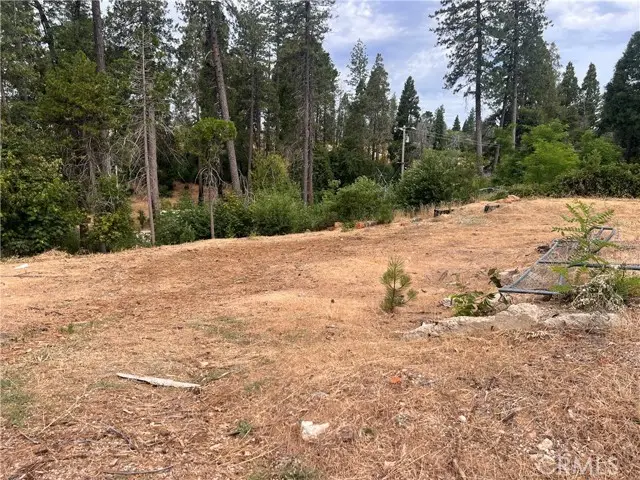 1770 Forest Glen Road, Paradise, CA 95969 - #1