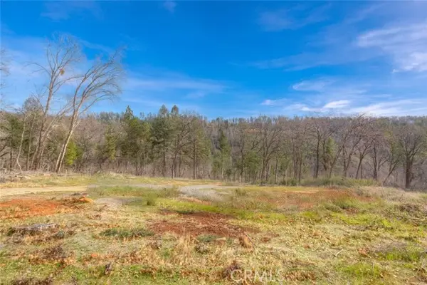 13460 Adrian Drive, Magalia, CA 95954