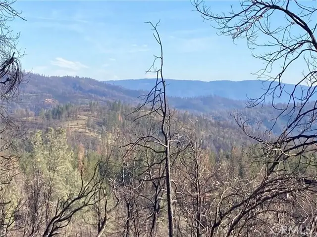 191 Ruiz Road, Berry Creek, CA 95916 - #1