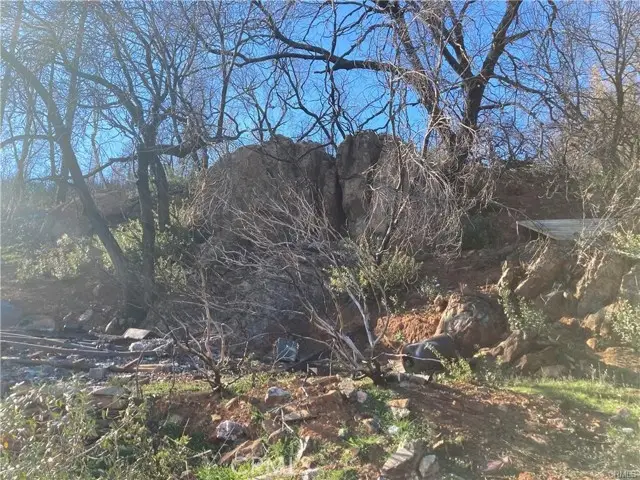 191 Ruiz Road, Berry Creek, CA 95916 - #2