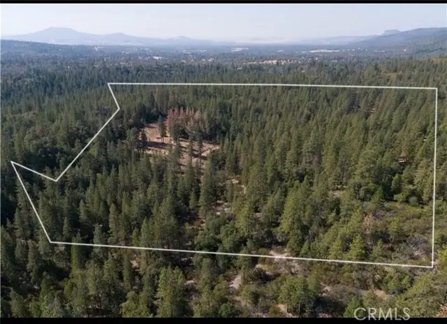 5901 Manton Ponderosa Way, Manton, CA 96059 - #1