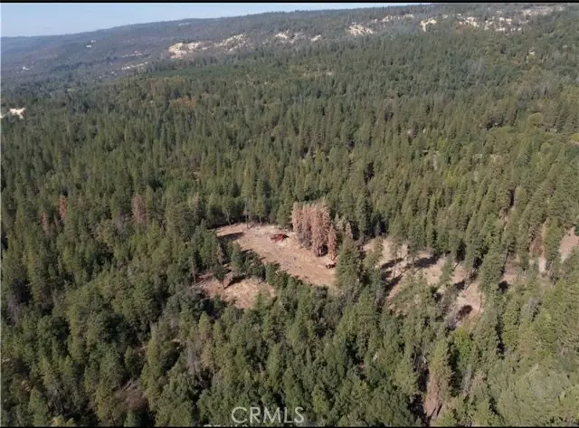 5901 Manton Ponderosa Way, Manton, CA 96059 - #2