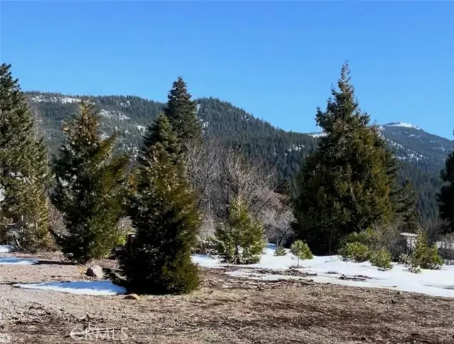 3333 Cedar Lane, Lake Almanor, CA 96137 - #2