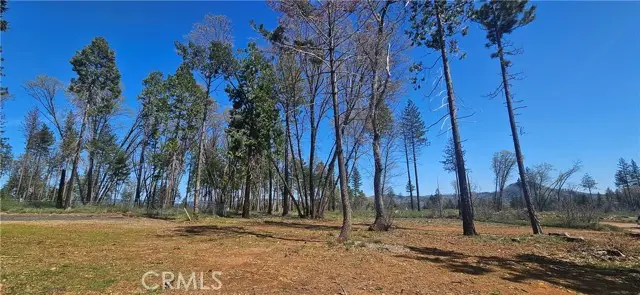 0 Skyway, Magalia, CA 95954 - #1