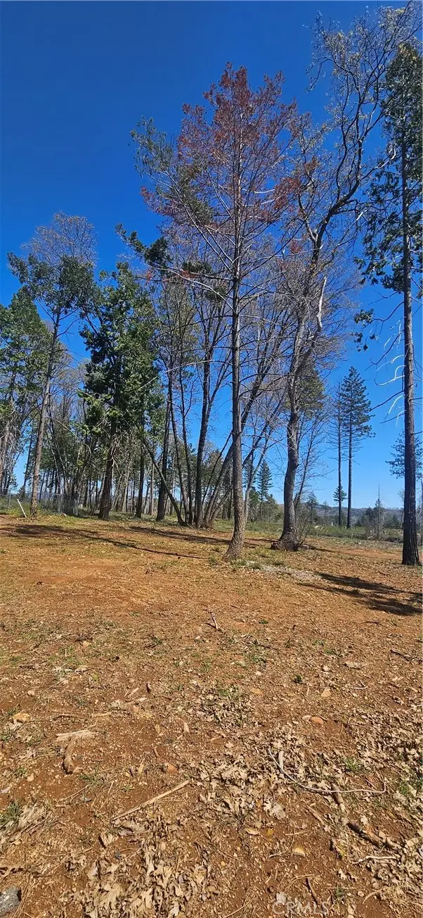 0 Skyway, Magalia, CA 95954 - #3