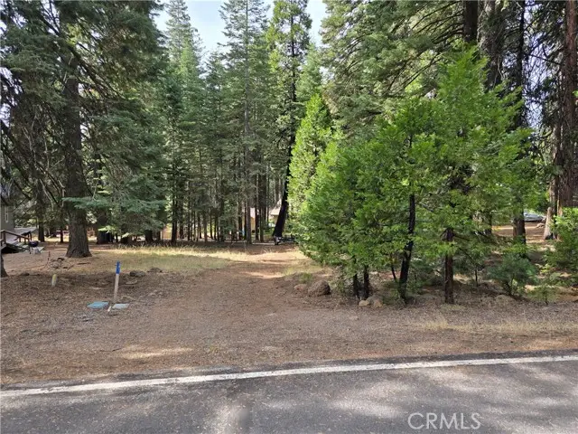 615 Clifford Trail, Lake Almanor, CA 96137 - Image #3