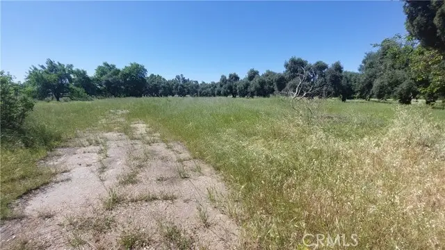 2915 99W, Corning, CA 96021 - #3