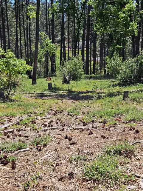 0 Boeta Court, Paradise, CA 95969 - #3