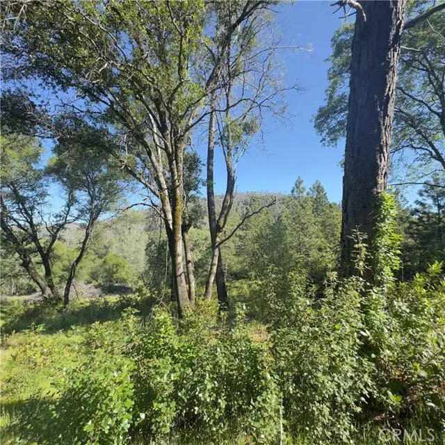 204 Empire Point Drive, Oroville, CA 95966 - #3