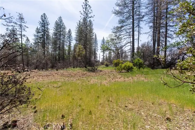 0 Toll Gate Way, Forest Ranch, CA 95942 - #2