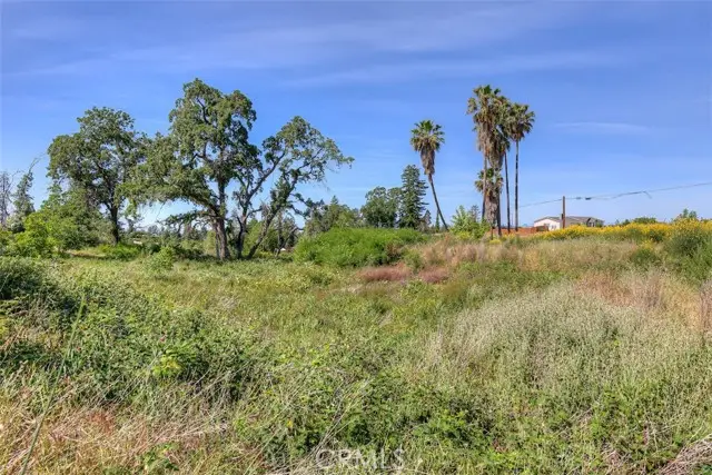 678 Buschmann Road, Paradise, CA 95969 - #3
