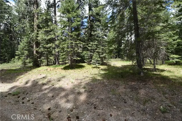 0 Fumarole Ct Court, McCloud, CA 96057 - #2