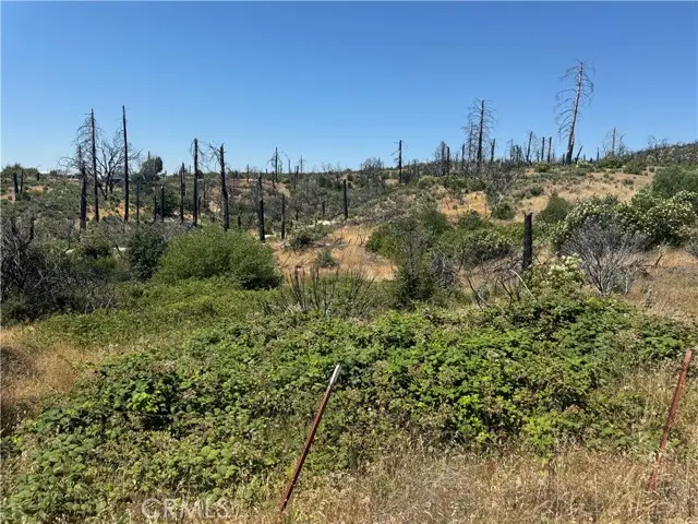 0 Sierra View, Berry Creek, CA 95916 - Image #3