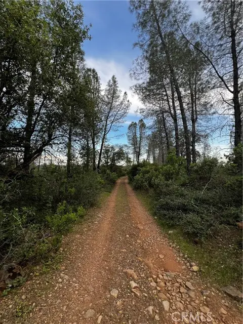 0 Donkey Mine Road, Oak Run, CA 96069 - Image #1