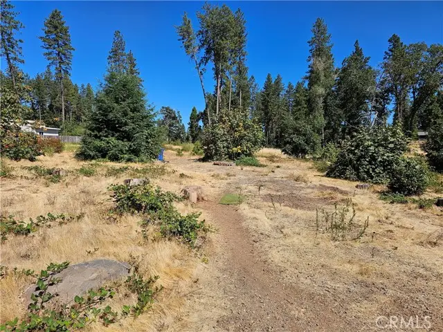 1533 Forest Service Rd, Paradise, CA 95969 - #3
