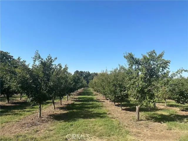 24365 Oklahoma Avenue, Red Bluff, CA 96080 - #2