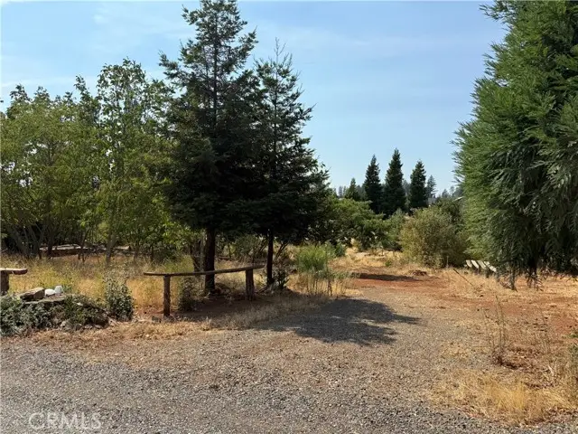 6541 Wheeler Road, Paradise, CA 95969 - #1