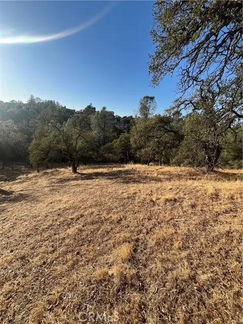 175 Lemon Hill, Oroville, CA 95966 - #1