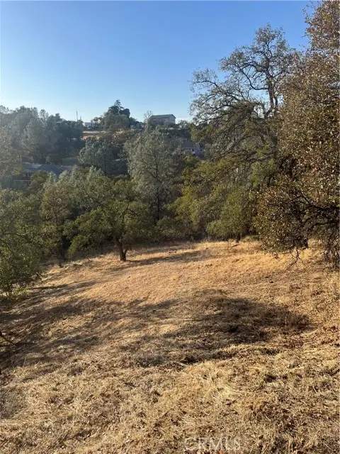 175 Lemon Hill, Oroville, CA 95966 - #2