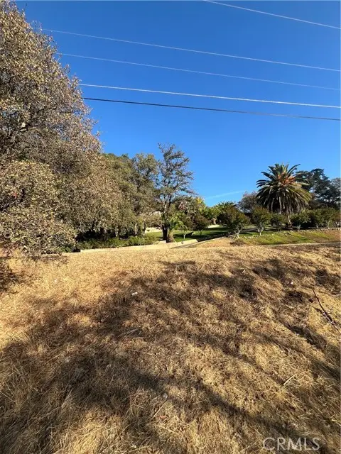 175 Lemon Hill, Oroville, CA 95966 - #3