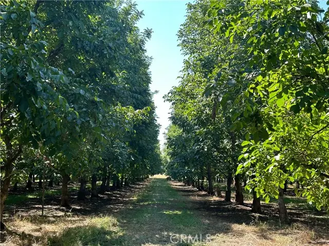 25040 63rd Avenue, Los Molinos, CA 96055 - Image #3