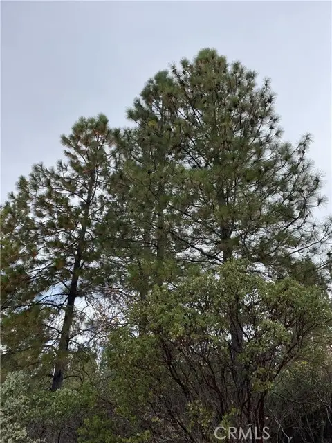 0 Fitzgerald Circle, Forest Ranch, CA 95942