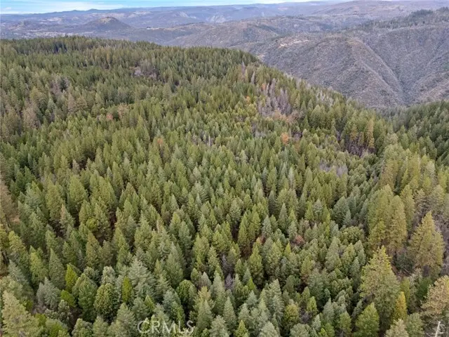 0 Old Forbestown Road, Forbestown, CA 95941 - #1