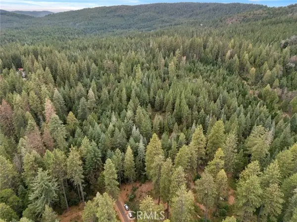 1 Old Forbestown Road, Forbestown, CA 95941