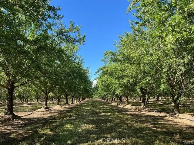 0 Capay Road, Corning, CA 96021 - Image #2