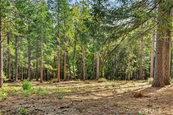 0 Cedar Creek, Forest Ranch, CA 95942