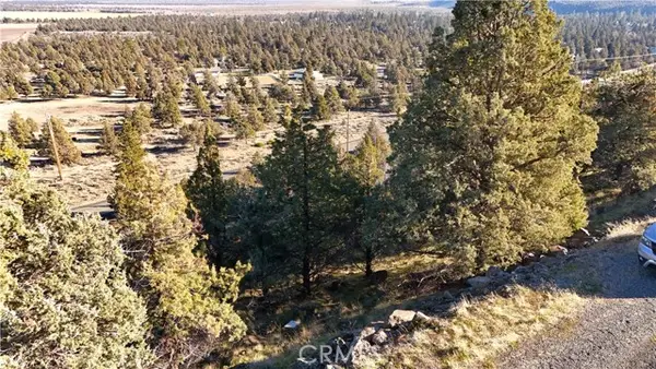 44 Dwinell Drive, Weed, CA 96094