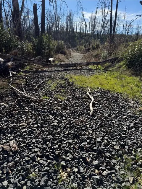 0 Inalane, Berry Creek, CA 95916 - #2